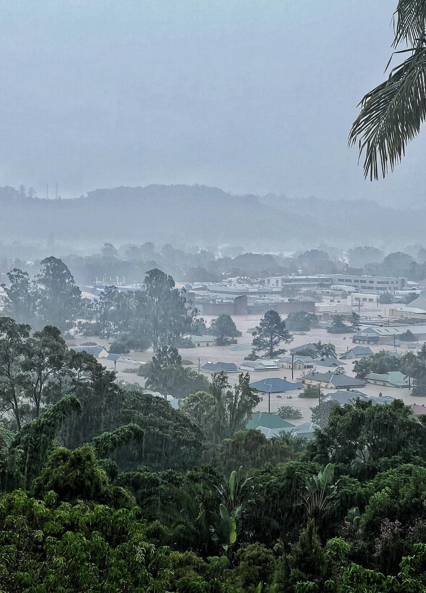 How You Can Help With Flood Recovery in Australia