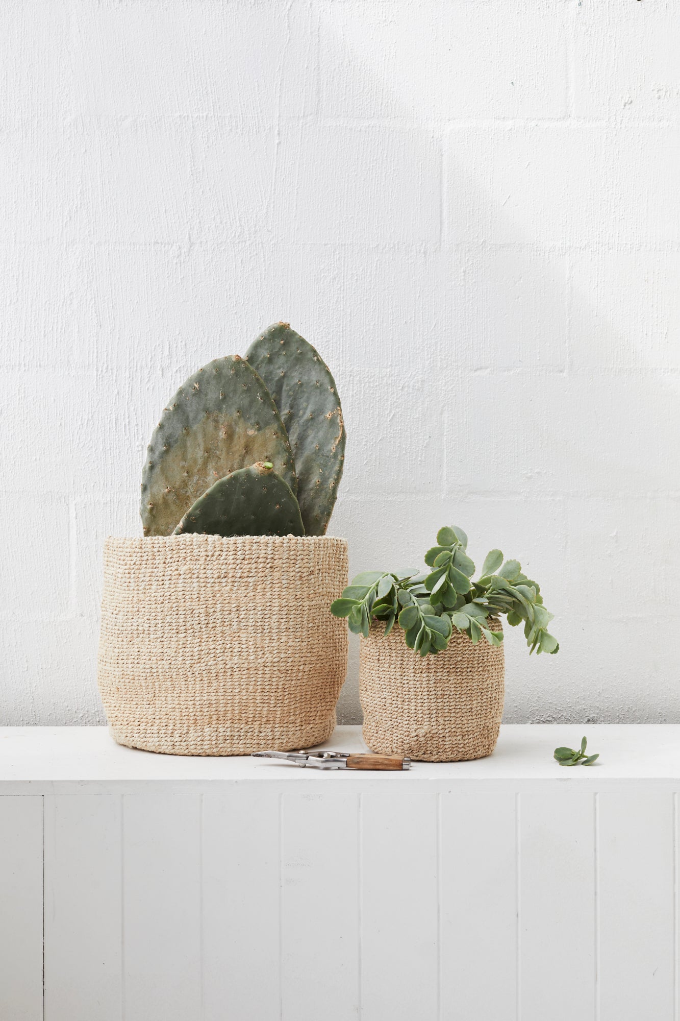 Baskets for Plants