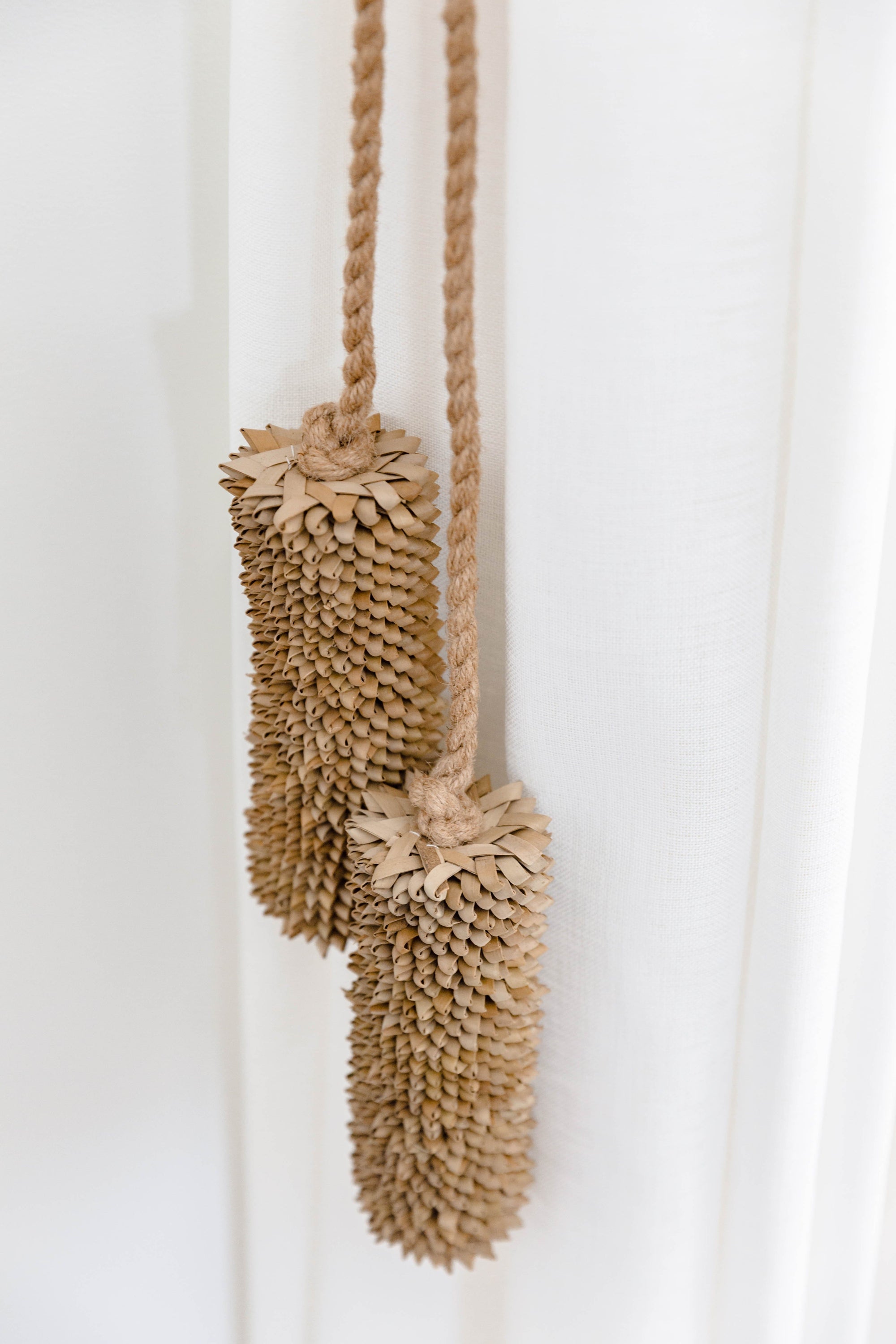 The Dharma Door Home, Table and Gifts Banksia Tassels Banksia Tassels