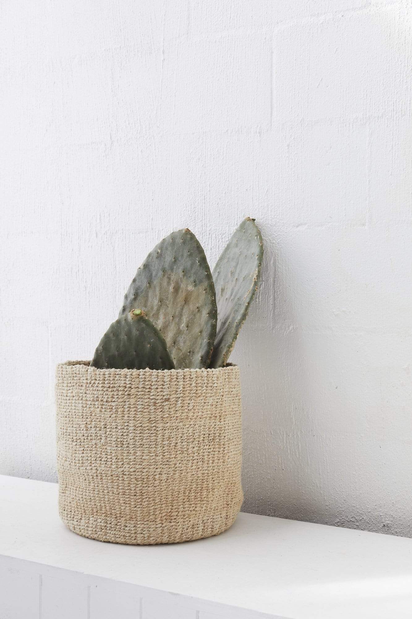 The Dharma Door Basket Woven Pot - Large Woven Pot - Large